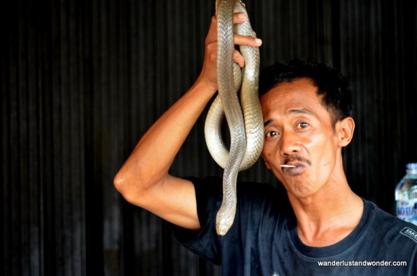 wanderlustandwonder.com Jakarta Chinatown