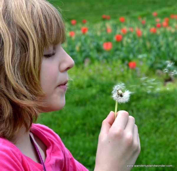Spring 2013, washington, DC 087