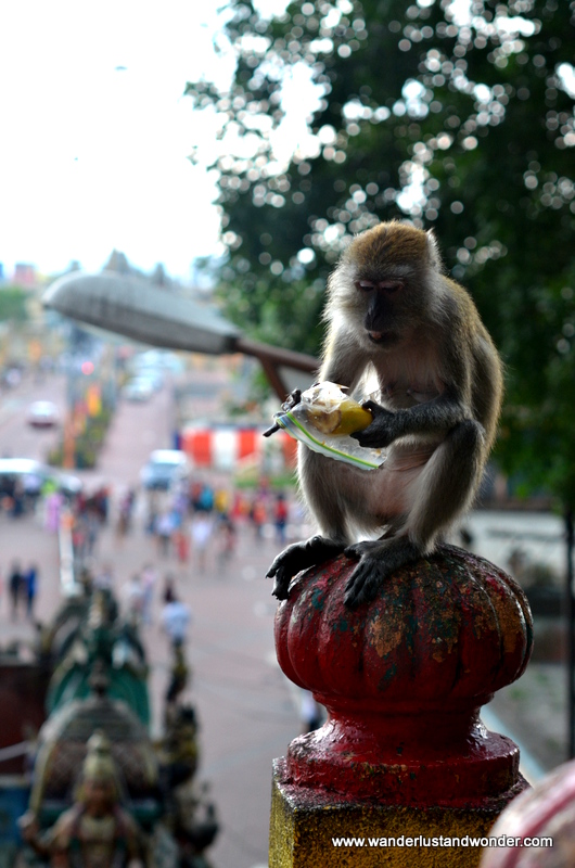 These little guys are trouble.