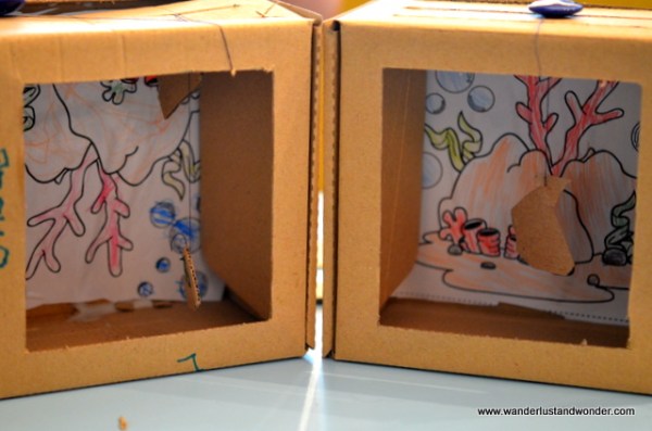 Low maintenance fish bowls.