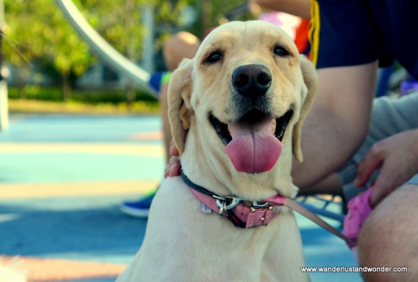 Flossy in her happy place.