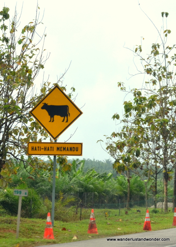 They weren't kidding about this...