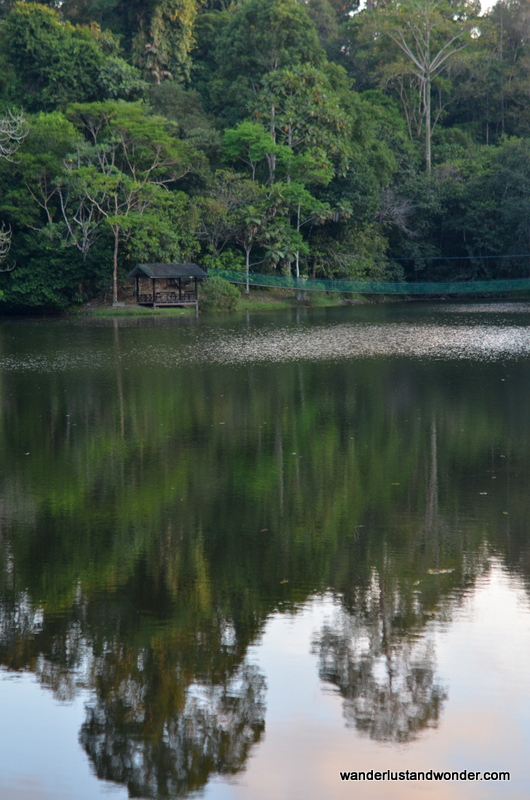 Rainforest Discovery Centre