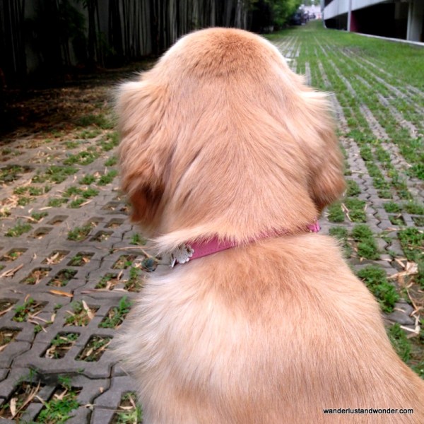 The journey ahead seemed daunting.